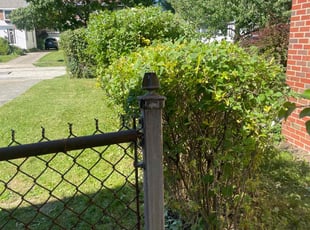 Bush Trimming by Kevin Wright for Andrea M. in Bedford, OH