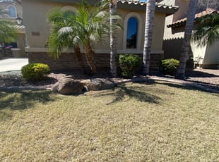 Bush Trimming by jimmy ruiz for Jenny L. in San Tan Valley, AZ