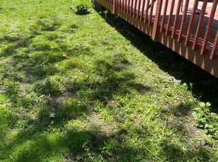 Weeding by Robert Cain for Alicia S. in Southfield, MI