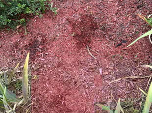 Katrina V.'s Flower Bed Weeding service result