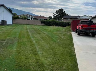 Teresa T.'s Lawn Mowing Service service result