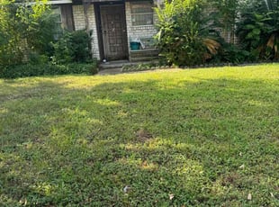 Bush Trimming by Ana Zelaya for Sherronn C. in Houston, TX