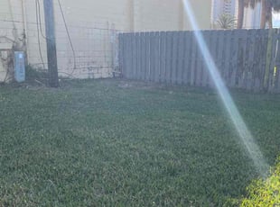 Rup B.'s Lawn Mowing Service service result
