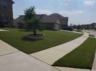 Stephanie S.'s Lawn Service service result