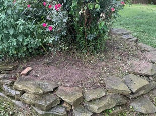 Caitlin S.'s Flower Bed Weeding service result