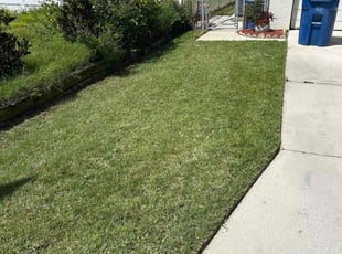 Laura D.'s Lawn Service service result