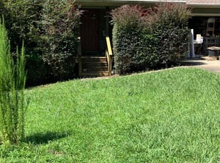Edwina C.'s Bush Trimming service result