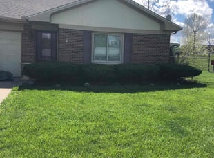 Bush Trimming by Stephen Reynolds for Larry F. in Englewood, OH