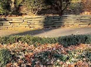 Bush Trimming by Alesandre Duarte for Jackeline B. in Annandale, VA