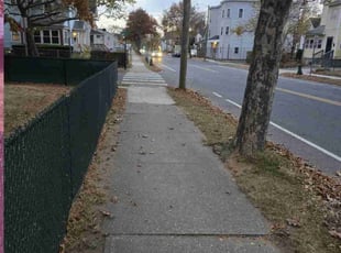 Leaf Removal by Andrew Croteau for Jan D. in Springfield, MA