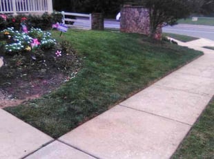 Weeding by Westley Green for Nadine S. in Milford Mill, MD
