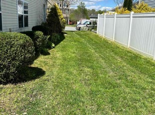Bush Trimming by Bryant Gindlesperger for Jonason T. in Whitsett, NC
