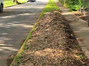 Cleanups by Denise Santana for Jackie D. in Cartersville, GA
