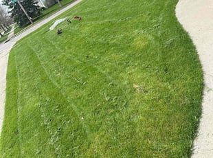 Cynthia K.'s Lawn Mowing service result