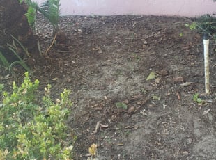 Weeding by Yohan Torres for Julie S. in Auburndale, FL
