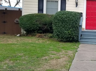 Bush Trimming by Jose Luis Trejo for Patricia B. in Dallas, TX