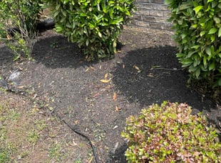 Angela T.'s Flower Bed Weeding service result