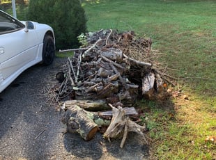 Cleanups by Greg Bush for Shana S. in Upper Marlboro, MD