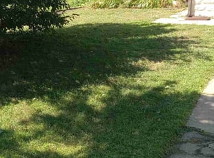 Weeding by for Leeamar N. in Minneapolis, MN