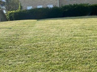 John M.'s Lawn Mowing service result