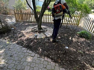 Weeding by James Mozelle for Andrew B. in Norfolk, VA