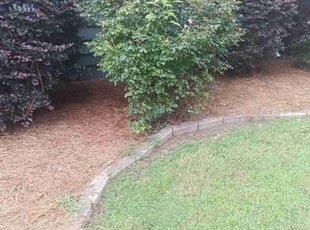 Chuck m.'s Weeding service result