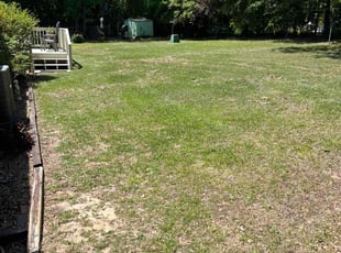 Weeding by Stephen Mathis for Keith B. in West Columbia, SC