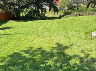 Josh G.'s Yard Cutting service result