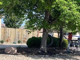Weeding by Aldo Mancha for Nicole J. in New Braunfels, TX