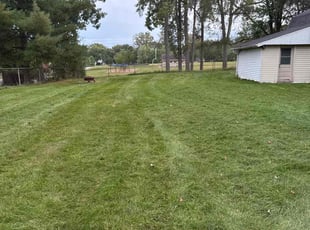 Paloma A.'s Lawn Service service result