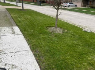 Miramique B.'s Lawn Service service result