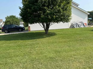 STACEE M.'s Yard Cutting service result