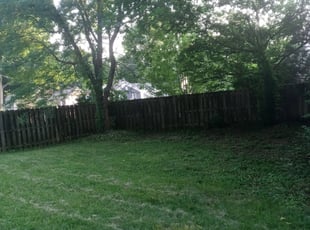 Cleanups by Jimmy Duffy for Caroline S. in Indianapolis, IN