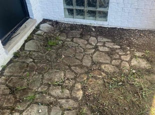 Leaf Removal by Ricardo Binyard Jr for Elyse D. in New Baltimore, MI