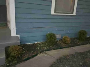 Bush Trimming by Hazel Araujo for Luke F. in San Antonio, TX