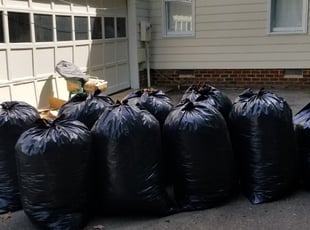 Montiqua S.'s Leaf Removal service result