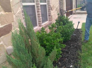 Weeding by Thomas Mammen for CHRISTINA M. in Fort Worth, TX