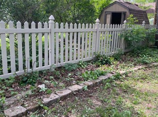 Bush Trimming by Connor Doyle for Uthman R. in Minneapolis, MN