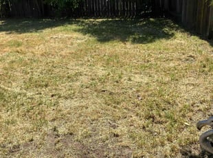 Cleanups by Gabriel Aldrete Contreras for Shirley S. in Sacramento, CA
