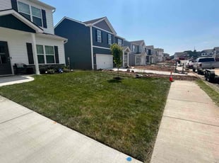 Minadora M.'s Lawn Maintenance service result