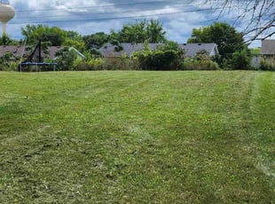 George W.'s Lawn Mowing service result