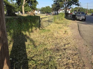 Cleanups by Ricardo Trejo for Yemi O. in Dallas, TX