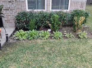 Weeding by Jesus Fortanel for Jiovani S. in Houston, TX