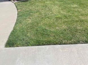 Rachel K.'s Lawn Mowing Service service result