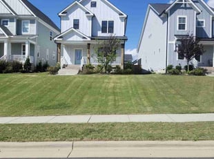 Vanessa S.'s Lawn Mowing service result