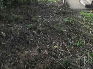 Cleanups by Peter Green for Craig B. in Glen Burnie, MD