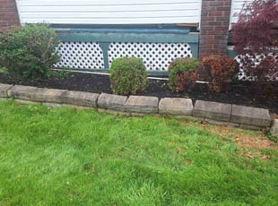 Weeding by Christian Rivera for Natasha B. in Cleveland, OH