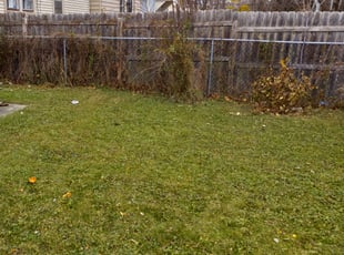 Leaf Removal by Diamond Smith for Debra N. in Milwaukee, WI