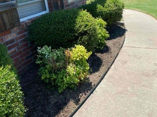 Weeding by Jesus Rivera for Jeremy S. in Fayetteville, AR