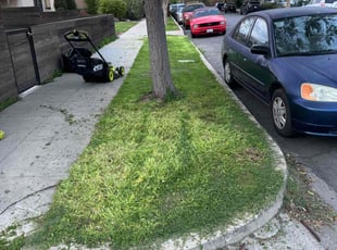 Jean H.'s Grass Cutting service result